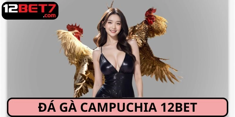 Đá Gà Campuchia: Sảnh Cá Cược Đỉnh Chóp Trong Năm 2025