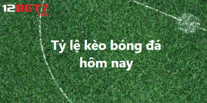 Tỷ Lệ Kèo Bóng Đá Tại 12bet: Cập Nhật Nhanh, Chính Xác