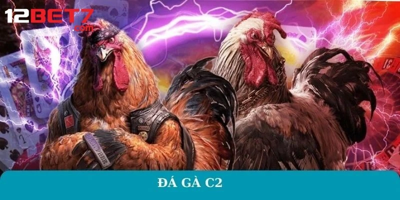 Đá Gà C2 – Thông Tin Cá Cược Mới Nhất Từ Nhà Cái 12bet